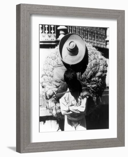 Campesino, State of Veracruz, Mexico, 1927-Tina Modotti-Framed Photographic Print