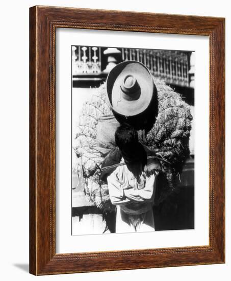 Campesino, State of Veracruz, Mexico, 1927-Tina Modotti-Framed Photographic Print