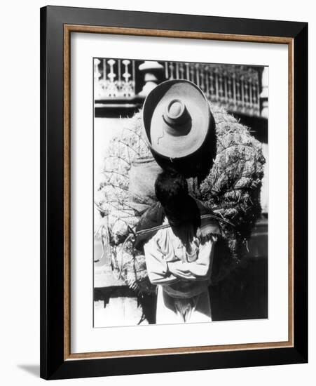 Campesino, State of Veracruz, Mexico, 1927-Tina Modotti-Framed Photographic Print