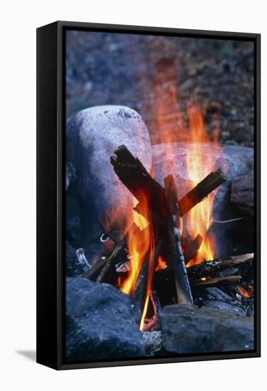 Campfire-Alan Sirulnikoff-Framed Premier Image Canvas