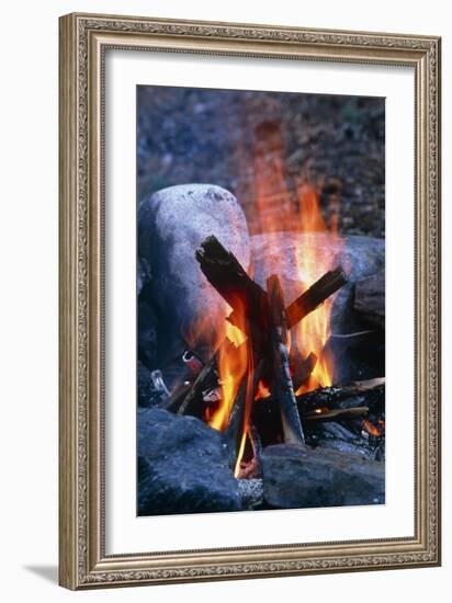 Campfire-Alan Sirulnikoff-Framed Photographic Print