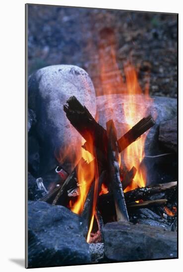 Campfire-Alan Sirulnikoff-Mounted Photographic Print