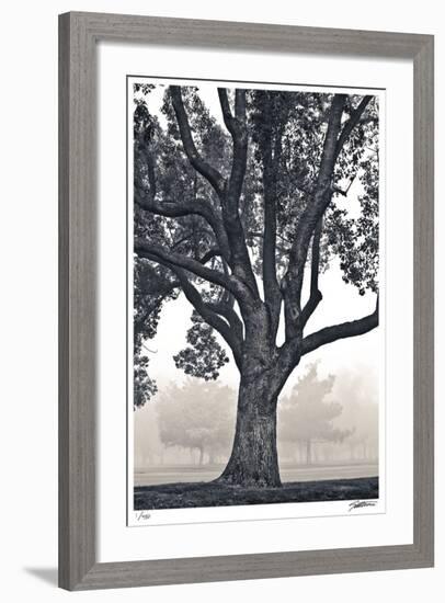 Camphor Silhouette-Donald Satterlee-Framed Giclee Print