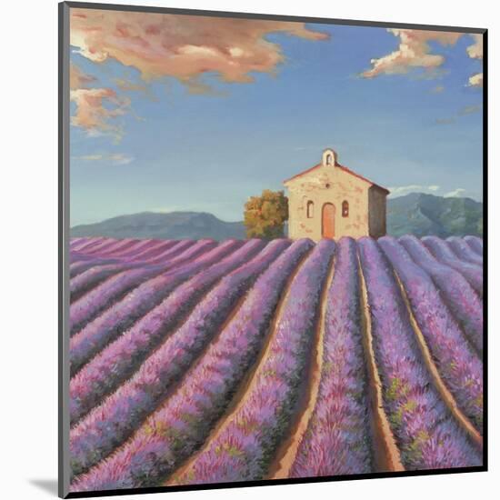 Campi di Lavanda-Adriano Galasso-Mounted Art Print