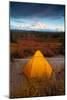 Camping In Denali National Park, With Denali In Background-Lindsay Daniels-Mounted Photographic Print