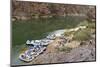 Camping on the Colorado River, Grand Canyon NP, Arizona, USA-Matt Freedman-Mounted Photographic Print