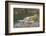 Camping on the Colorado River, Grand Canyon NP, Arizona, USA-Matt Freedman-Framed Photographic Print