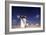 Campo De Criptana, Windmills - New Castile, Spain-Markus Bassler-Framed Photographic Print