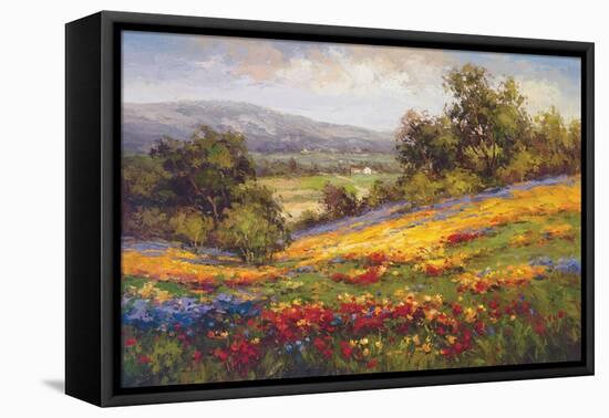 Campo di Fiore I-Hulsey-Framed Stretched Canvas