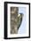 Campo Flicker (Colaptes Campestris), Within Iguazu Falls National Park, Misiones, Argentina-Michael Nolan-Framed Photographic Print