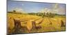 Campo in Toscana-Andrea Del Missier-Mounted Art Print