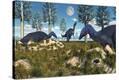 Stretched Canvas Print