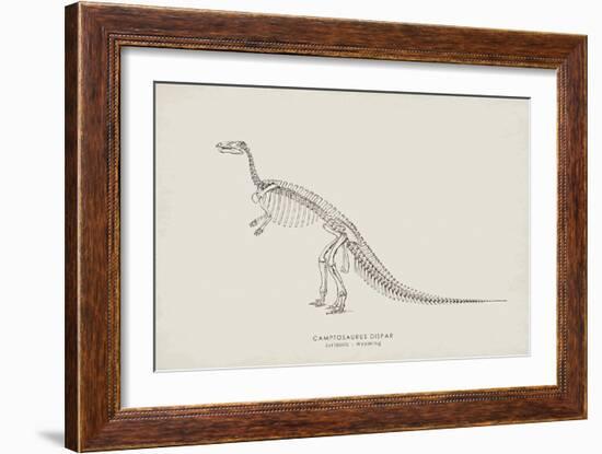 Camptosaurus-The Vintage Collection-Framed Giclee Print