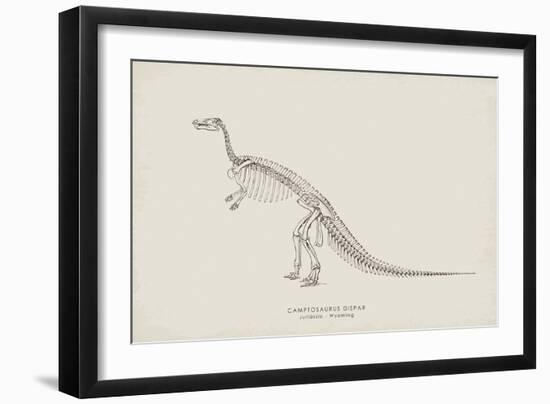 Camptosaurus-The Vintage Collection-Framed Giclee Print
