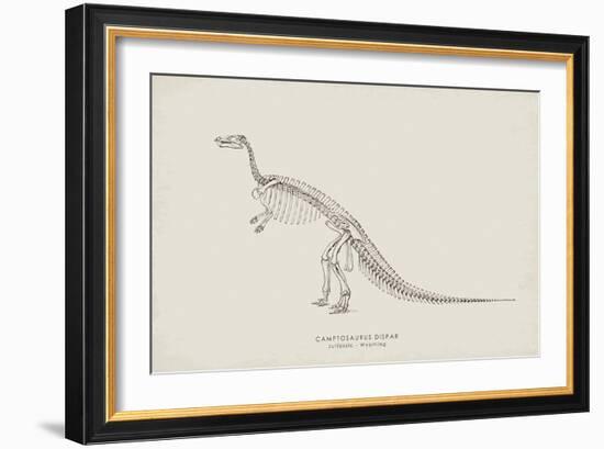 Camptosaurus-The Vintage Collection-Framed Giclee Print