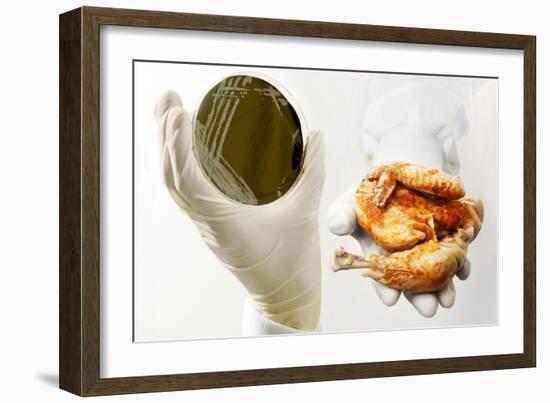 Campylobacter Food Poisoning-Tim Vernon-Framed Photographic Print