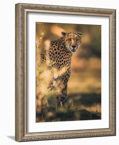 Camuflage-Ahmed Sobhi-Framed Giclee Print