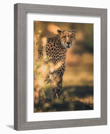 Camuflage-Ahmed Sobhi-Framed Giclee Print