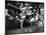 Can Can Dancers Kicking One Leg over their Head While Dancgin around on the Other-null-Mounted Photographic Print