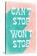 Stretched Canvas Print