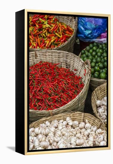 Can Tho Market, Mekong Delta, Vietnam, Indochina, Southeast Asia, Asia-Yadid Levy-Framed Premier Image Canvas