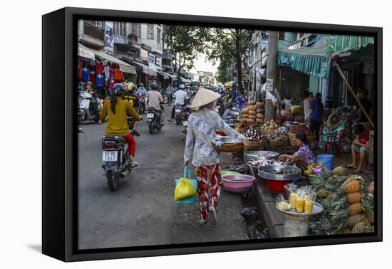 Can Tho Market, Mekong Delta, Vietnam, Indochina, Southeast Asia, Asia-Yadid Levy-Framed Premier Image Canvas