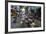 Can Tho Market, Mekong Delta, Vietnam, Indochina, Southeast Asia, Asia-Yadid Levy-Framed Photographic Print