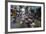 Can Tho Market, Mekong Delta, Vietnam, Indochina, Southeast Asia, Asia-Yadid Levy-Framed Photographic Print