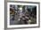 Can Tho Market, Mekong Delta, Vietnam, Indochina, Southeast Asia, Asia-Yadid Levy-Framed Photographic Print