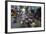 Can Tho Market, Mekong Delta, Vietnam, Indochina, Southeast Asia, Asia-Yadid Levy-Framed Photographic Print