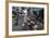 Can Tho Market, Mekong Delta, Vietnam, Indochina, Southeast Asia, Asia-Yadid Levy-Framed Photographic Print