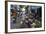 Can Tho Market, Mekong Delta, Vietnam, Indochina, Southeast Asia, Asia-Yadid Levy-Framed Photographic Print