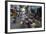 Can Tho Market, Mekong Delta, Vietnam, Indochina, Southeast Asia, Asia-Yadid Levy-Framed Photographic Print