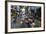 Can Tho Market, Mekong Delta, Vietnam, Indochina, Southeast Asia, Asia-Yadid Levy-Framed Photographic Print