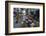 Can Tho Market, Mekong Delta, Vietnam, Indochina, Southeast Asia, Asia-Yadid Levy-Framed Photographic Print