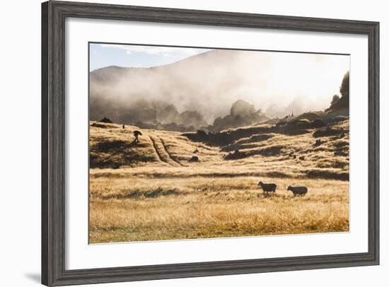 Canaan Downs Scenic Reserve at Sunrise-Matthew Williams-Ellis-Framed Photographic Print