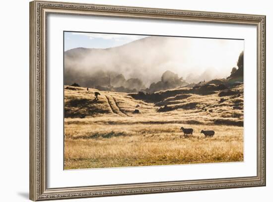 Canaan Downs Scenic Reserve at Sunrise-Matthew Williams-Ellis-Framed Photographic Print