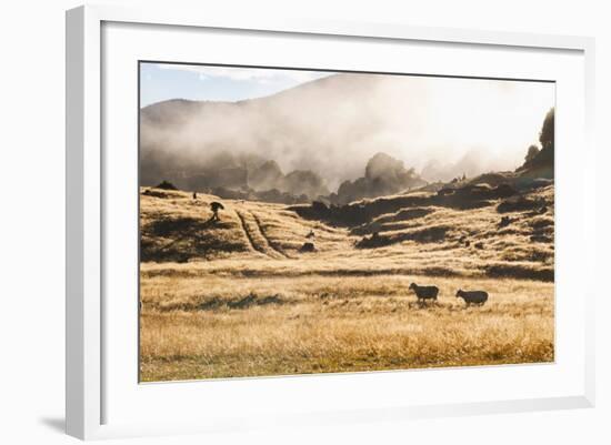 Canaan Downs Scenic Reserve at Sunrise-Matthew Williams-Ellis-Framed Photographic Print