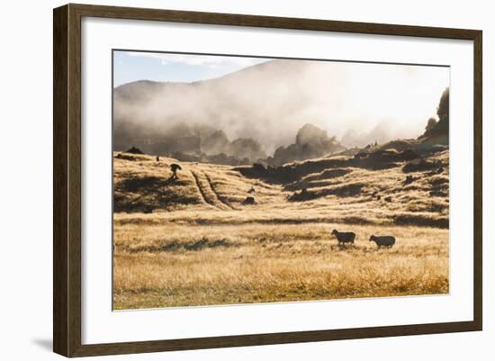 Canaan Downs Scenic Reserve at Sunrise-Matthew Williams-Ellis-Framed Photographic Print