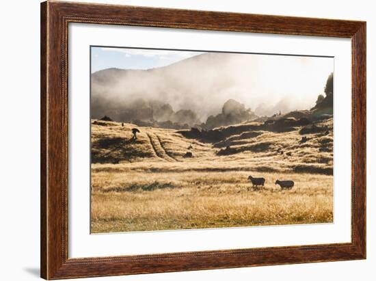 Canaan Downs Scenic Reserve at Sunrise-Matthew Williams-Ellis-Framed Photographic Print