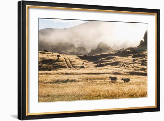 Canaan Downs Scenic Reserve at Sunrise-Matthew Williams-Ellis-Framed Photographic Print