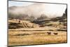 Canaan Downs Scenic Reserve at Sunrise-Matthew Williams-Ellis-Mounted Photographic Print