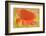 Canada. Abstract of poppy flower.-Jaynes Gallery-Framed Photographic Print