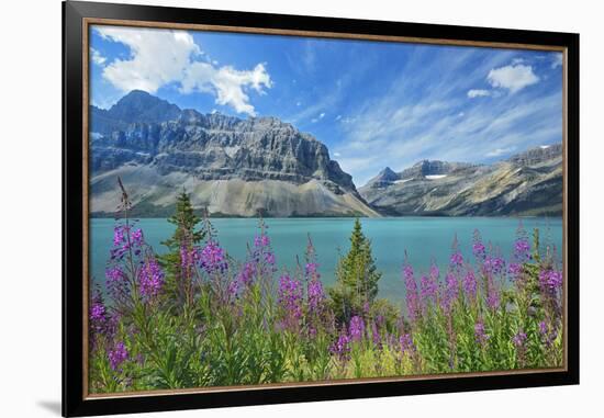 Canada, Alberta, Banff National Park. Crowfoot Mountains and fireweeds along Bow Lake.-Jaynes Gallery-Framed Photographic Print