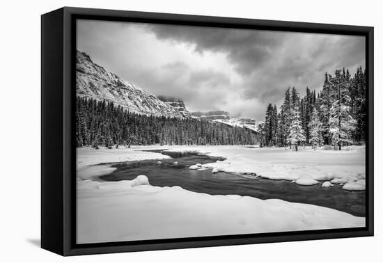 Canada, Alberta, Banff National Park, Dawn at the Mistaya River-Ann Collins-Framed Premier Image Canvas