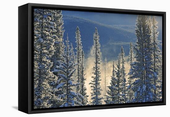 Canada, Alberta, Banff National Park. Fog rising from Bow River at sunrise.-Jaynes Gallery-Framed Premier Image Canvas
