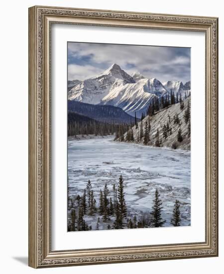 Canada, Alberta, Banff National Park. Survey Peak and North Saskatchewan River-Ann Collins-Framed Photographic Print