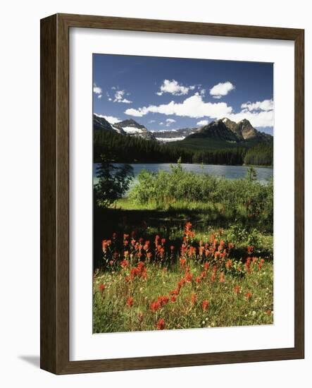 Canada, Alberta, Banff NP, Indian Paintbrush Wildflowers and a Lake-Christopher Talbot Frank-Framed Photographic Print