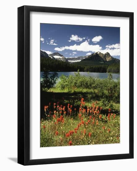 Canada, Alberta, Banff NP, Indian Paintbrush Wildflowers and a Lake-Christopher Talbot Frank-Framed Photographic Print