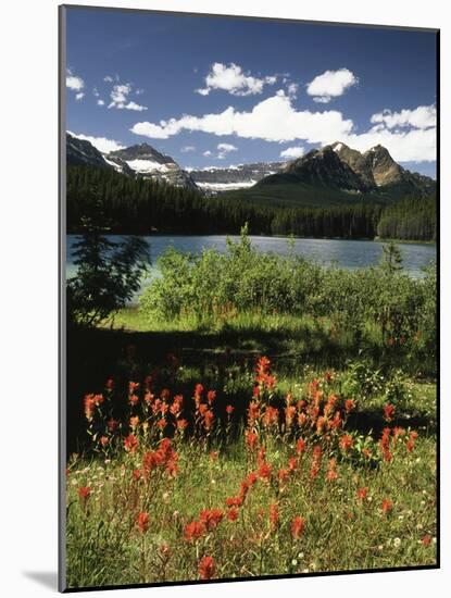Canada, Alberta, Banff NP, Indian Paintbrush Wildflowers and a Lake-Christopher Talbot Frank-Mounted Photographic Print